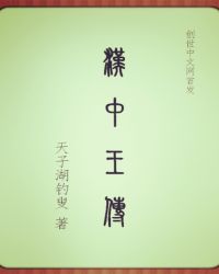 汉中王传